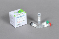 HotStart Taq DNA Polymerase