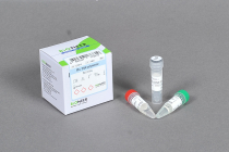 ProFi Taq DNA Polymerase