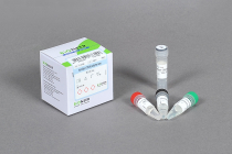 HotStart DNA Polymerase