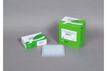 AccuPower® PCR PreMix & Master Mix