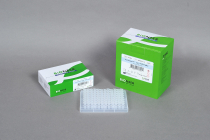 AccuPower® Taq PCR PreMix & Master Mix