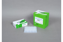 AccuPower® HotStart PCR PreMix